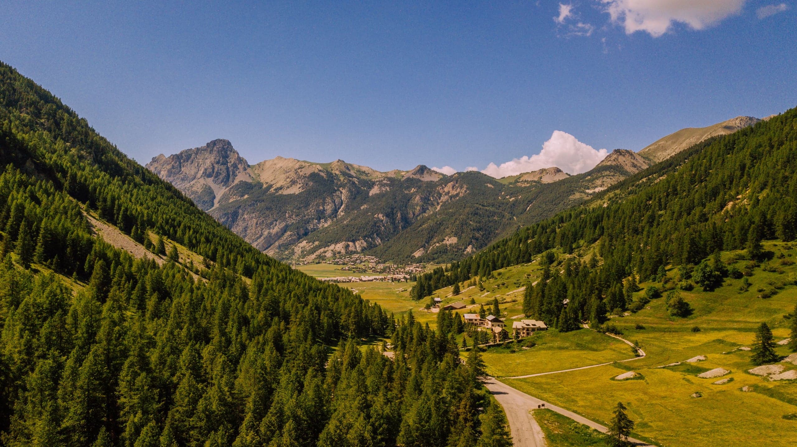 Vallée alpine entre les forêts de résineux