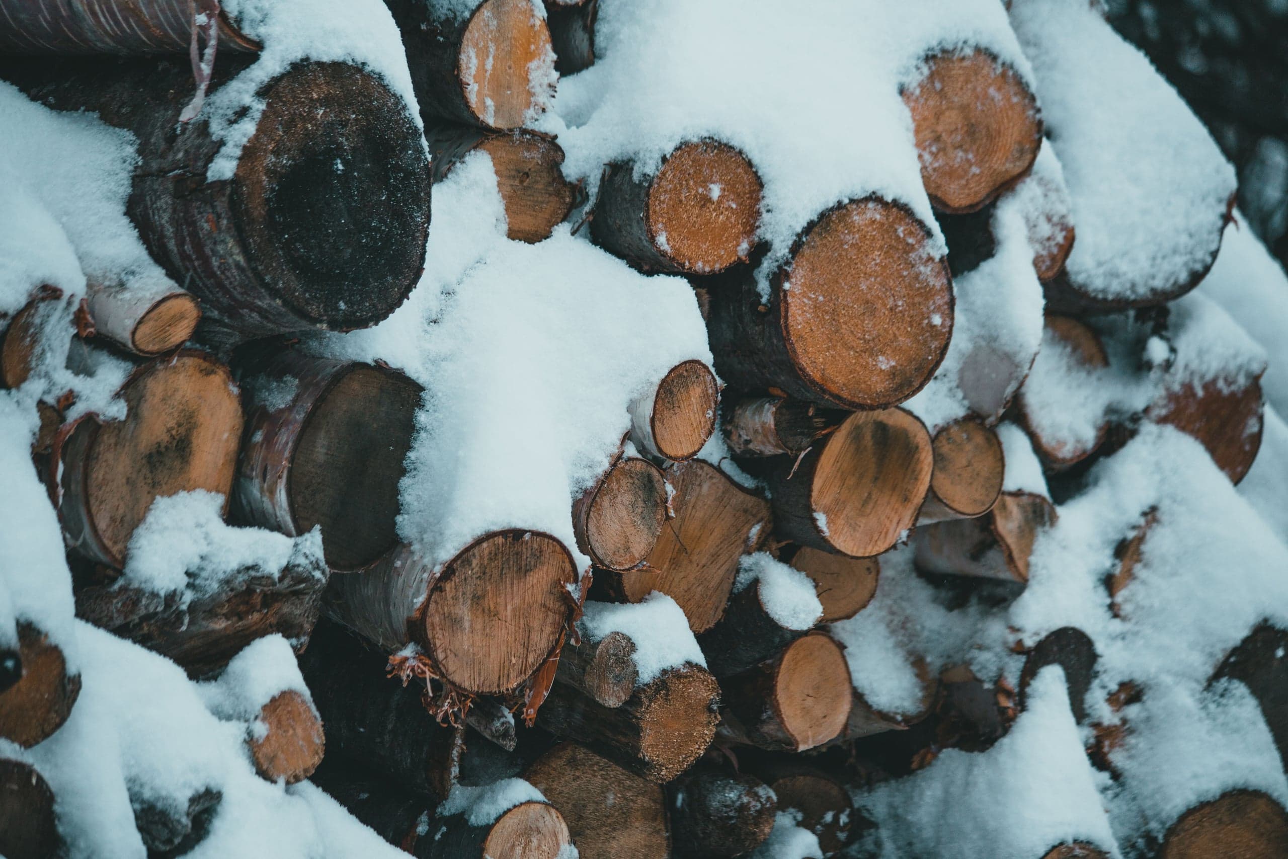 Bûches rangées pour l'hiver, sous la neige