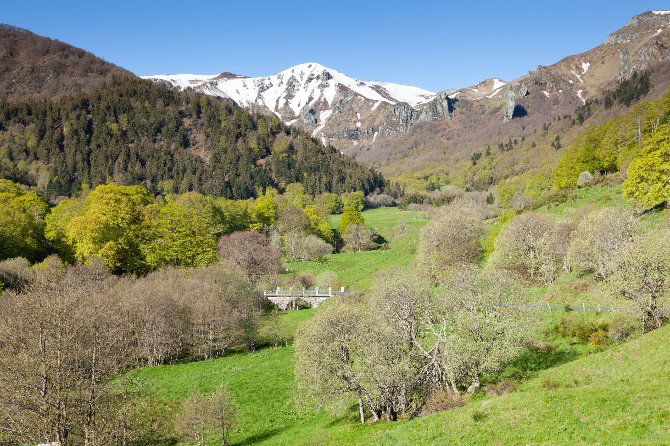 Vallée de Savoie au printemps, prés et forêts