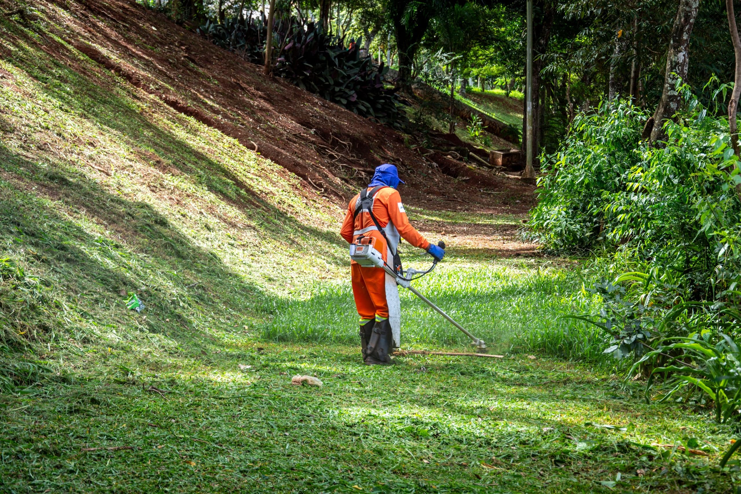 Débroussaillage d'un terrain en pente