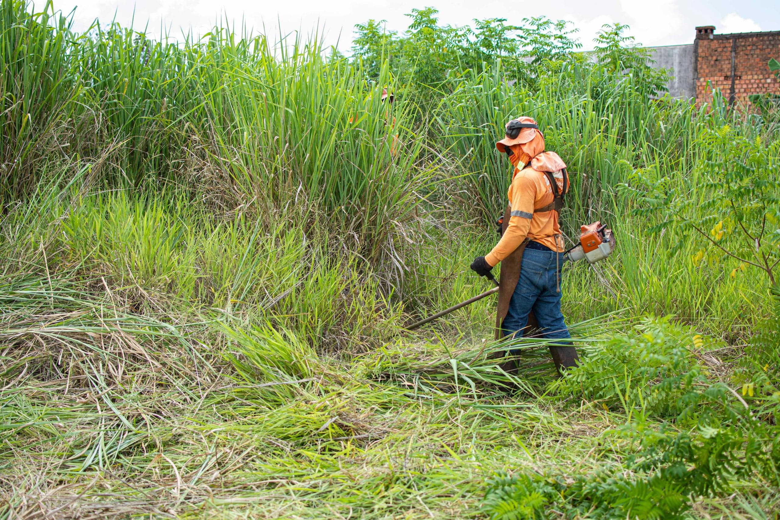 Débroussailleuse dans les hautes herbes