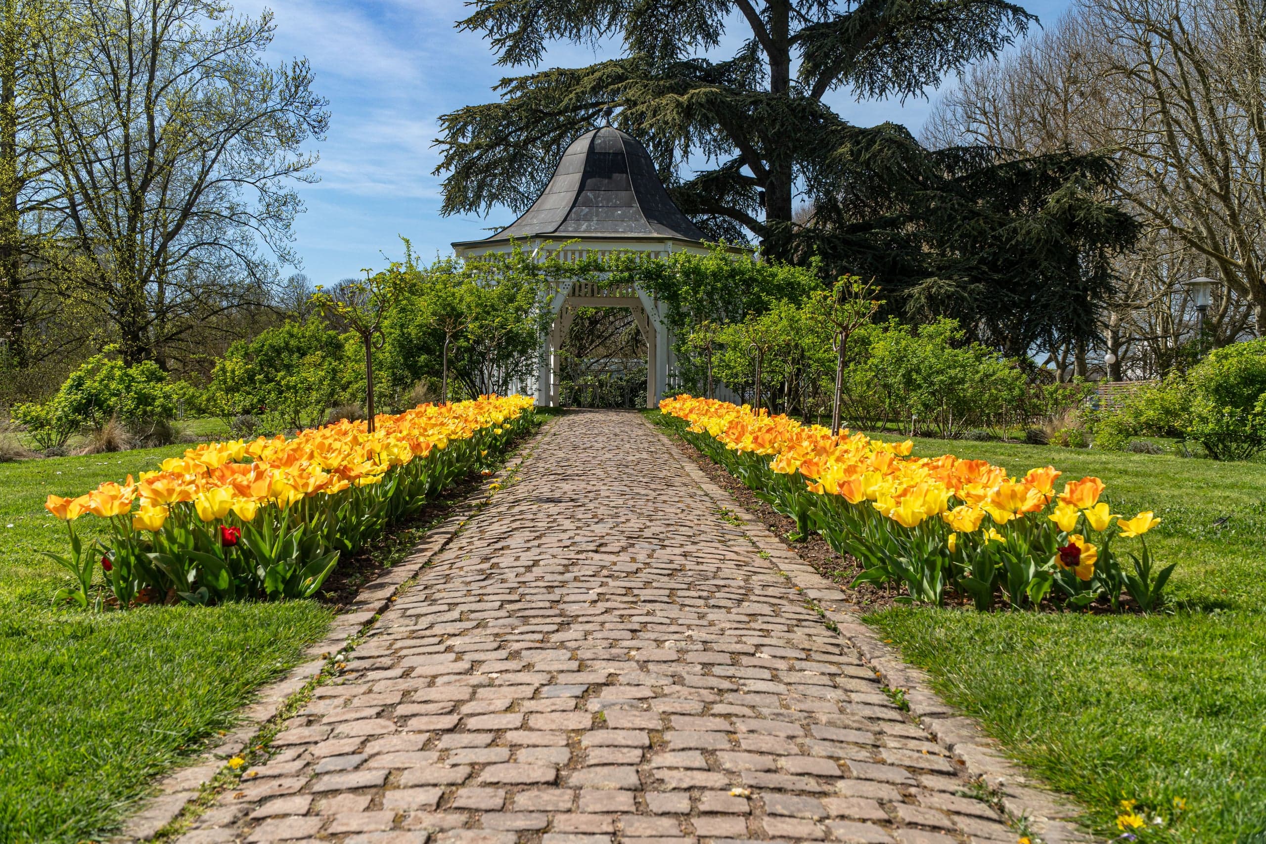 Allée pavée bordée de tulipes, vers un kiosque