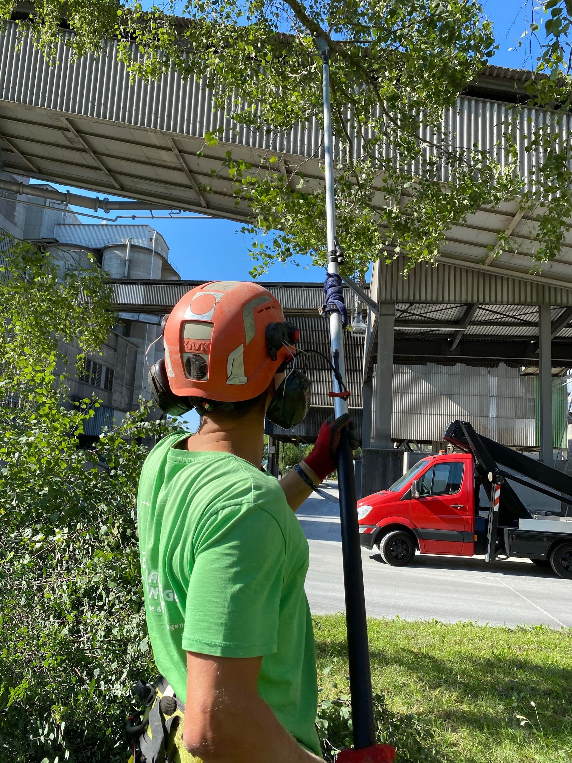 Élagage à la perche, casque et protections