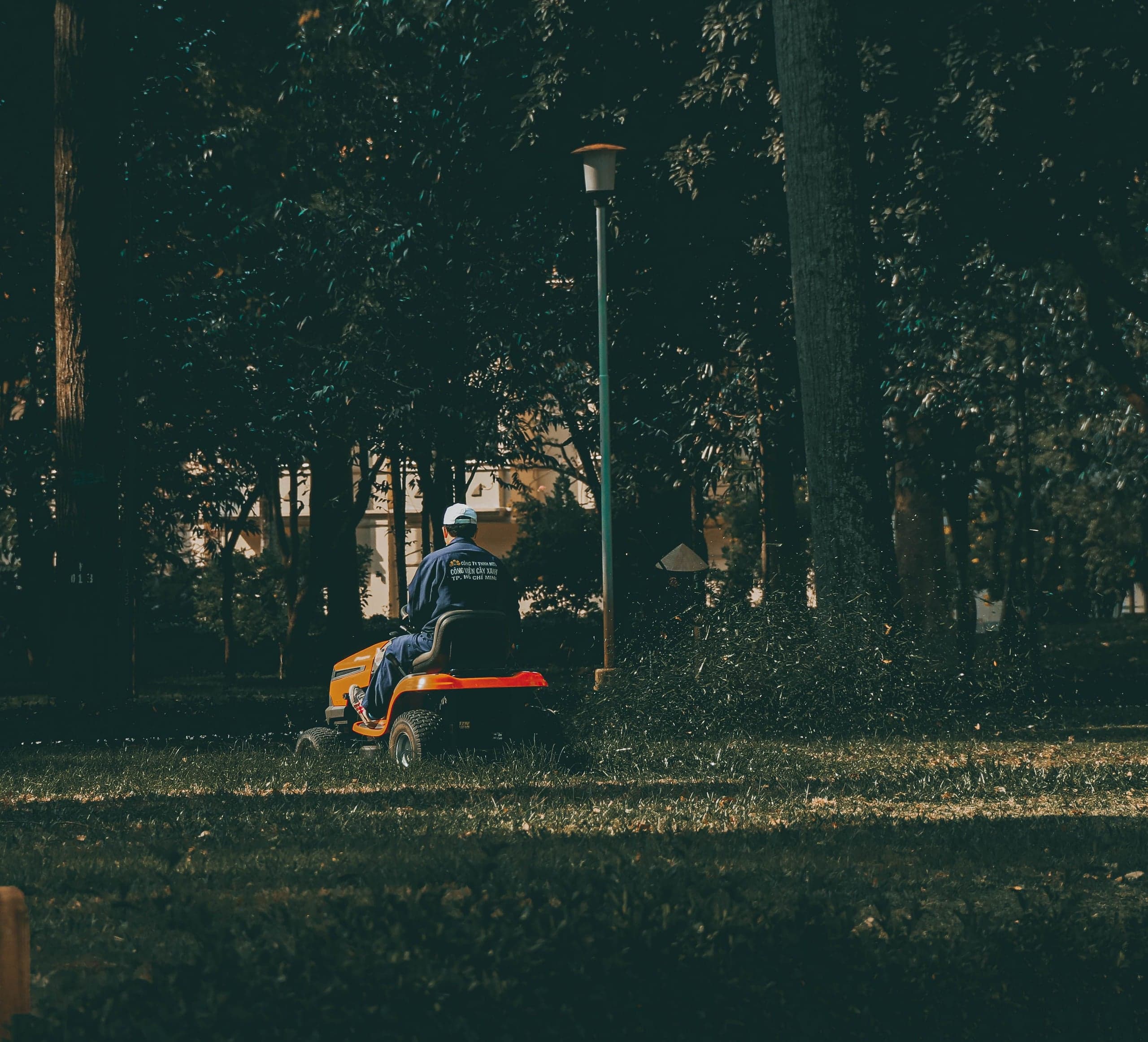 Tonte au tracteur dans un parc, en fin de journée